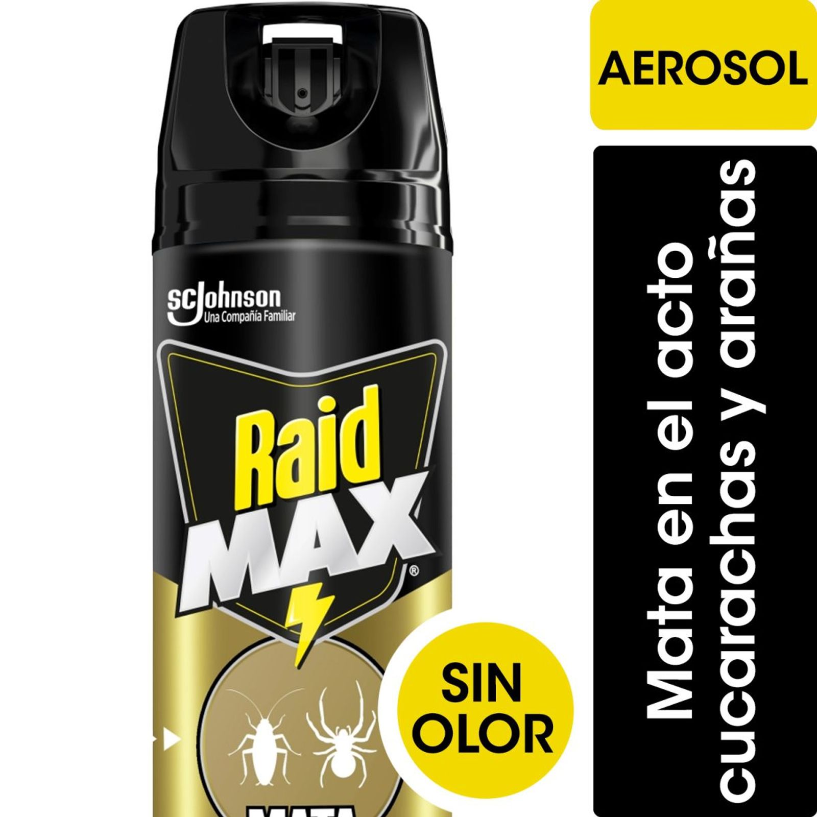 Raid Aerosol Max Mata Cucarachas/Arañas 360 Ml