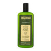 Shampoo Capilatis Con Aloe Vera Puro X 420 Ml